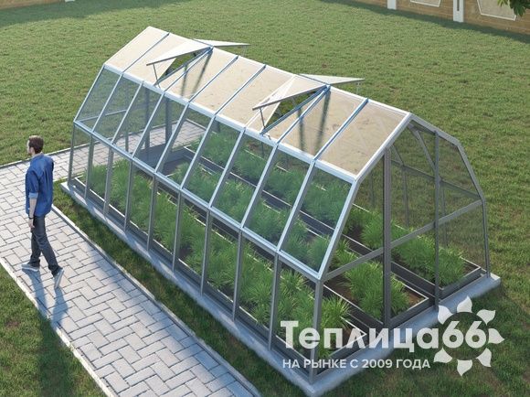 Теплица Рада Исеть под стекло, 3x6 метра